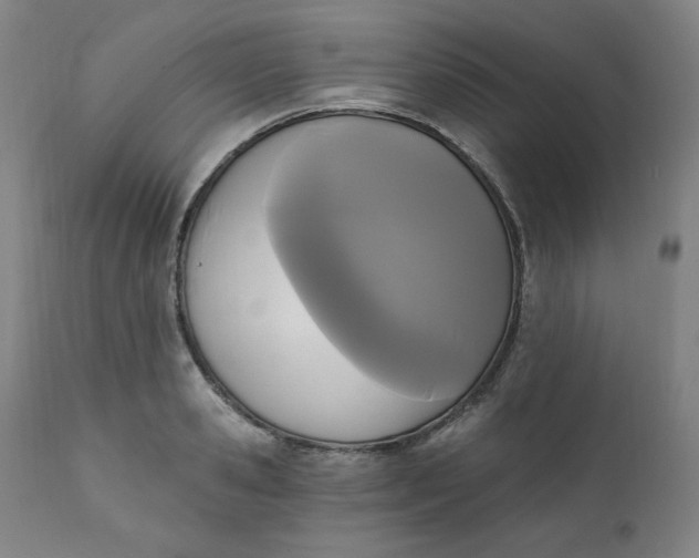 X0000111220941200907161247