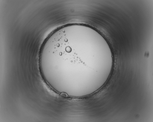 X0000111220942200907161248