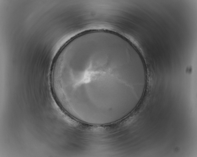 X0000111220943200907161248