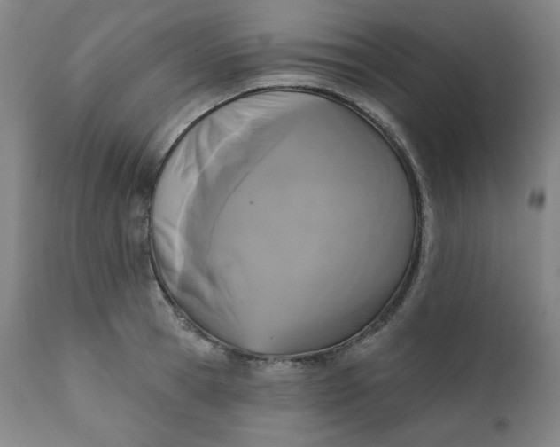 X0000111220945200907161248