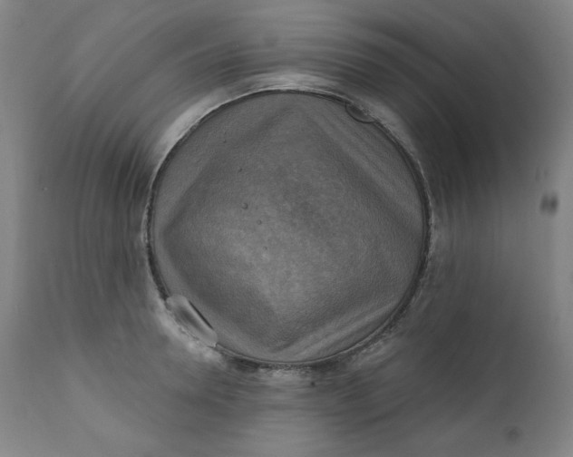 X0000111220946200907161248