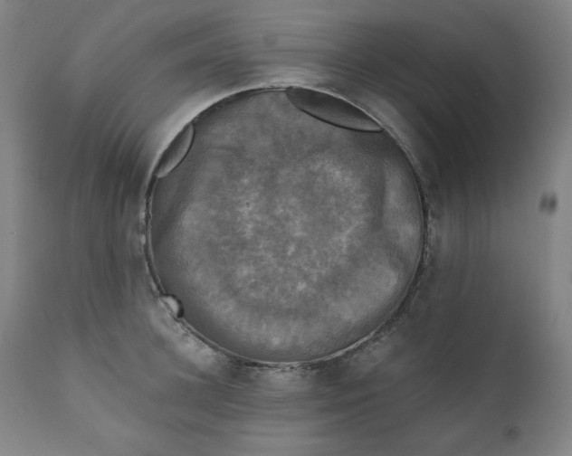 X0000111220948200907161248