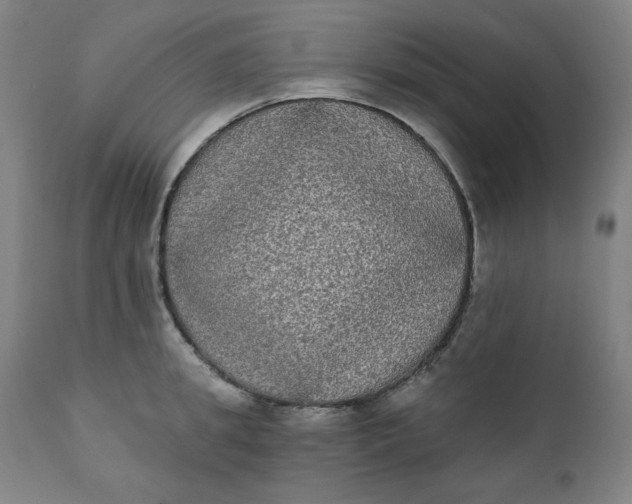 X0000111220949200907161248