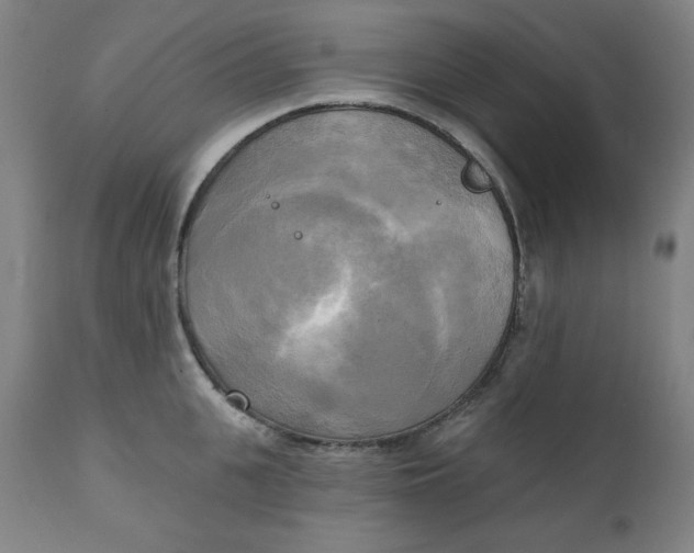 X0000111220951200907161248