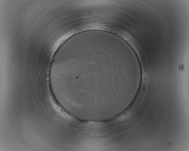 X0000111220954200907161248