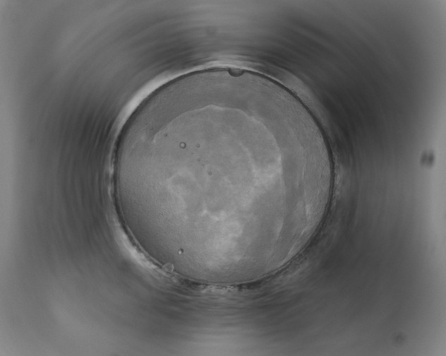 X0000111220955200907161248