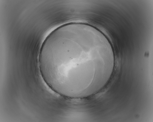 X0000111220959200907161248