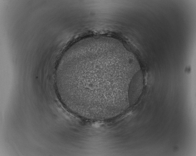 X0000111220961200907161247