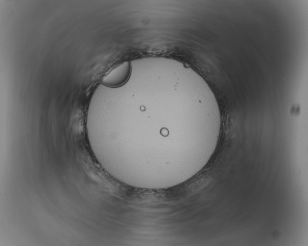 X0000111220962200907161247