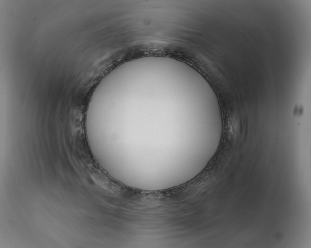 X0000111220964200907161247