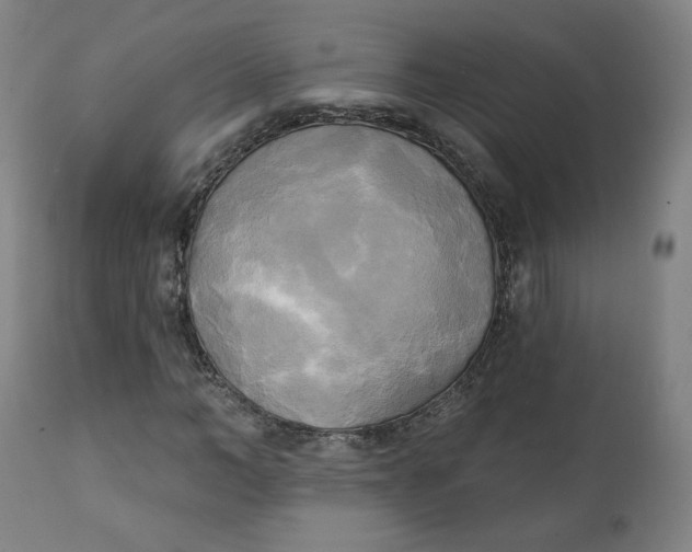 X0000111220966200907161247