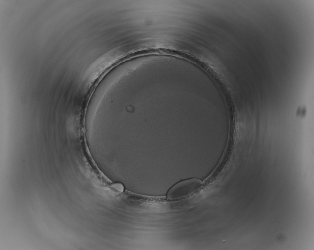 X0000111220977200907161247