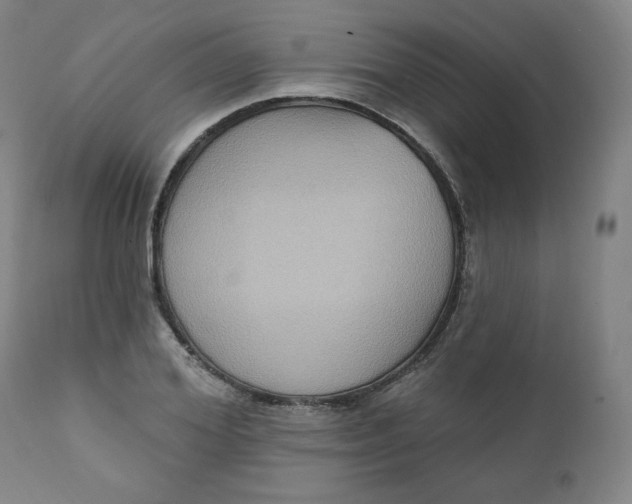 X0000111220980200907161247