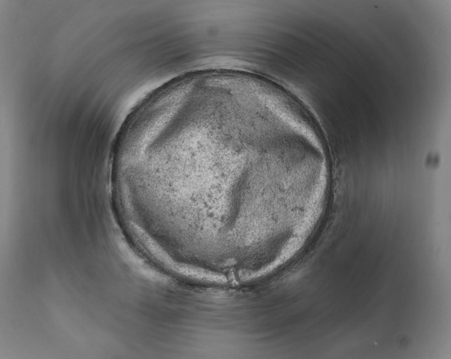 X0000111220987200907161247