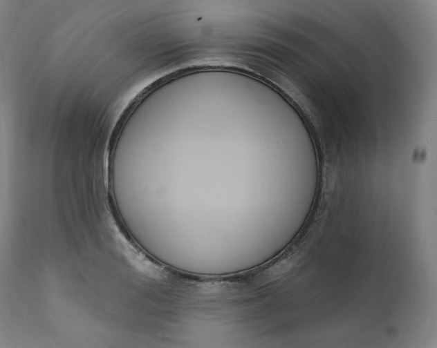 X0000111220988200907161247