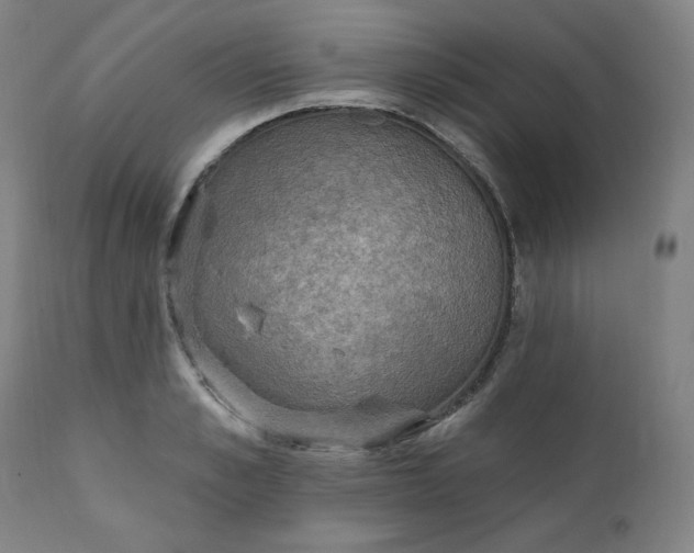 X0000111220989200907161247