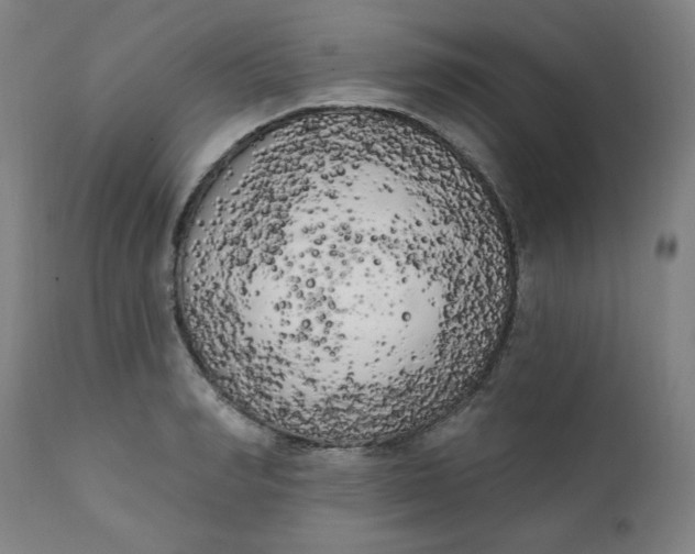 X0000111220990200907161247