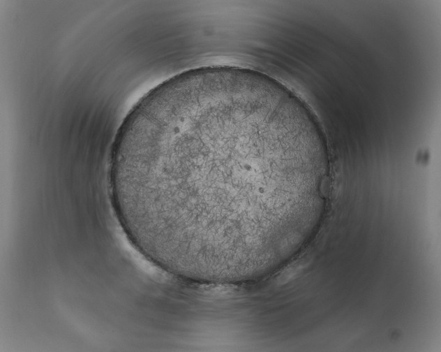X0000111220991200907161247