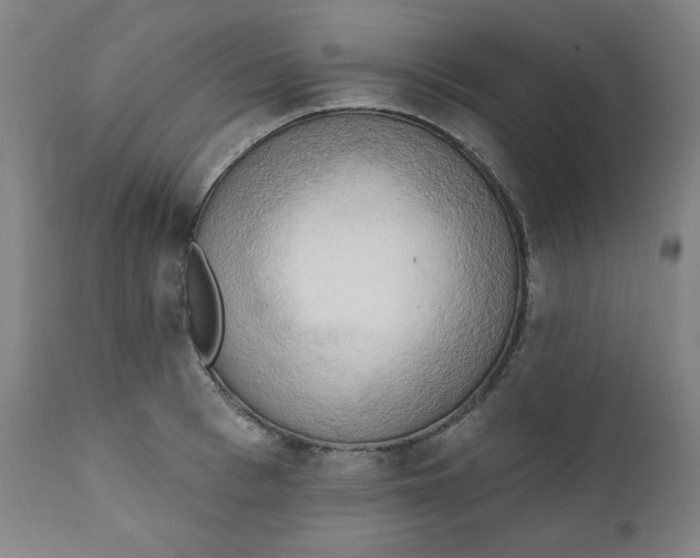 X0000111220993200907161247