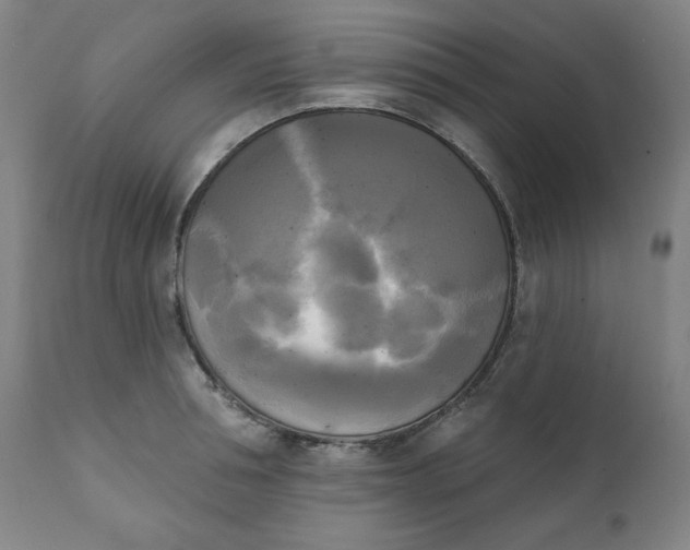 X0000111220994200907161247