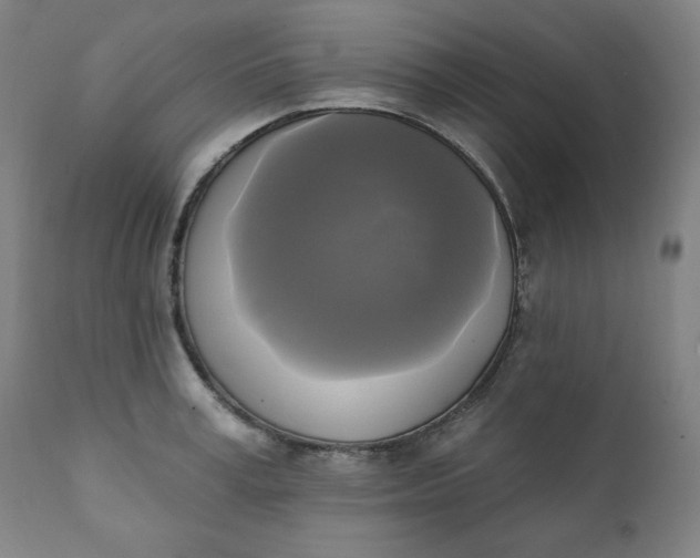 X0000111220995200907161247