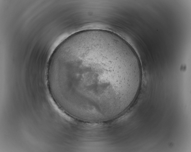 X0000111220997200907161247