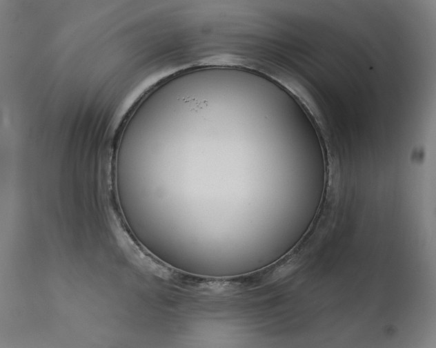 X0000111221000200907161247