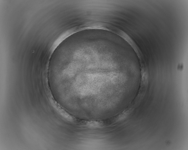 X0000111221002200907161247