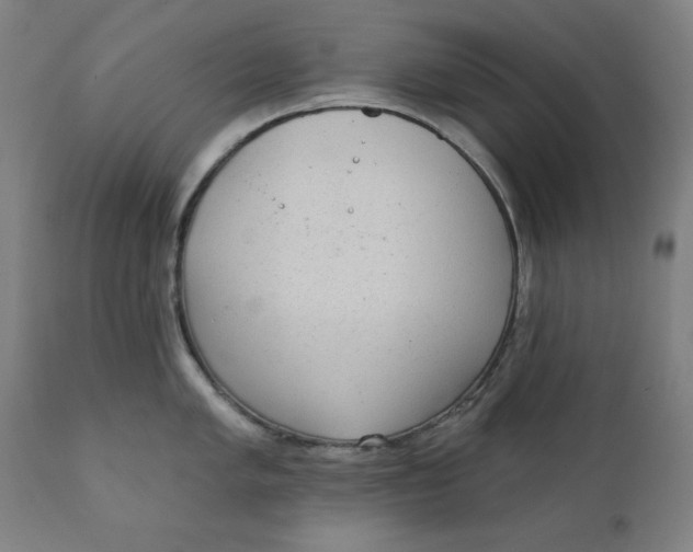 X0000111221005200907161246