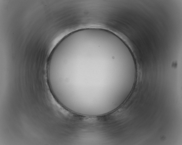 X0000111221006200907161246