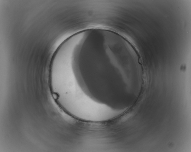 X0000111221007200907161246