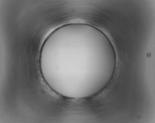 X0000111221008200907161246