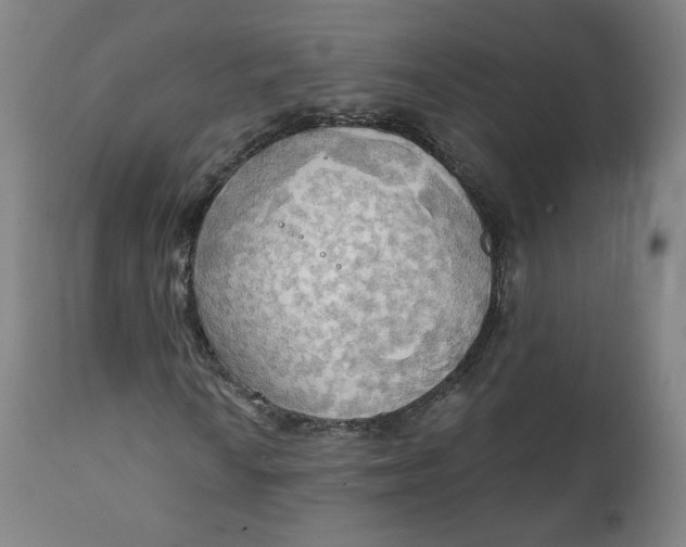 X0000111221010200907161246