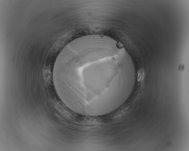 X0000111221011200907161246