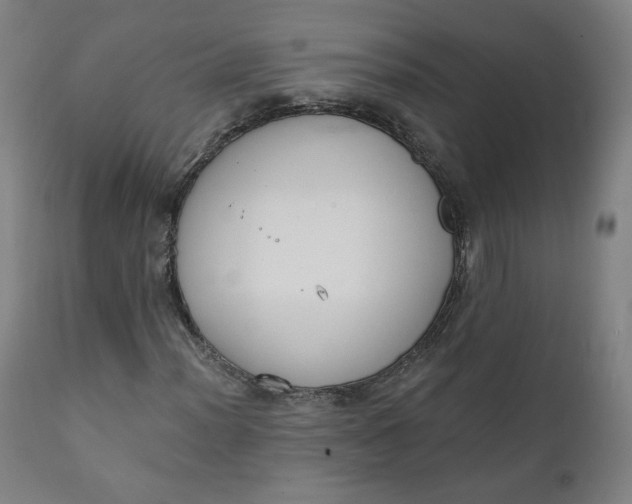 X0000111221012200907161246