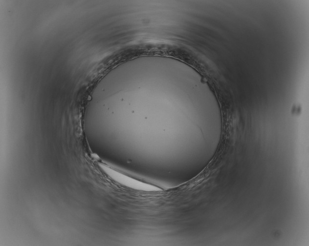 X0000111221013200907161246