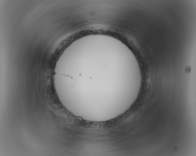 X0000111221016200907161246