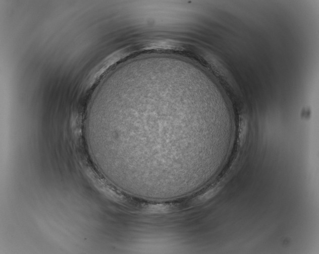 X0000111221017200907161246