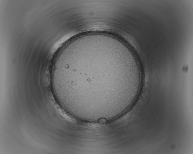 X0000111221018200907161246
