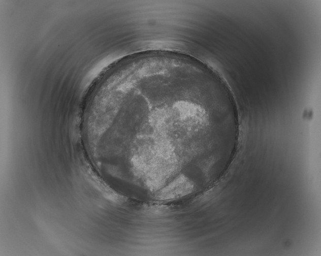 X0000111221019200907161246