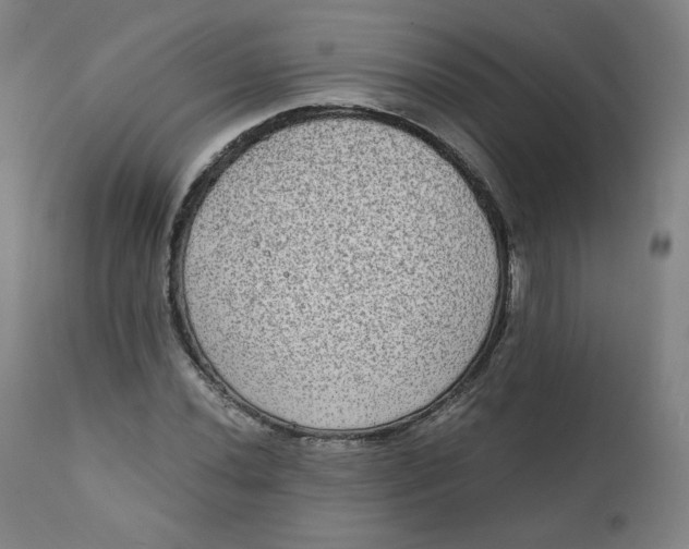 X0000111221020200907161246