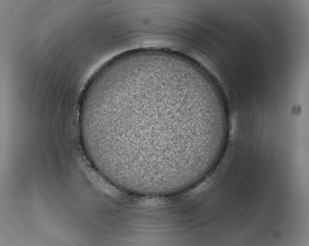 X0000111221021200907161246