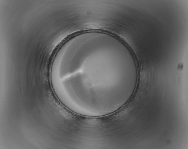 X0000111221023200907161246