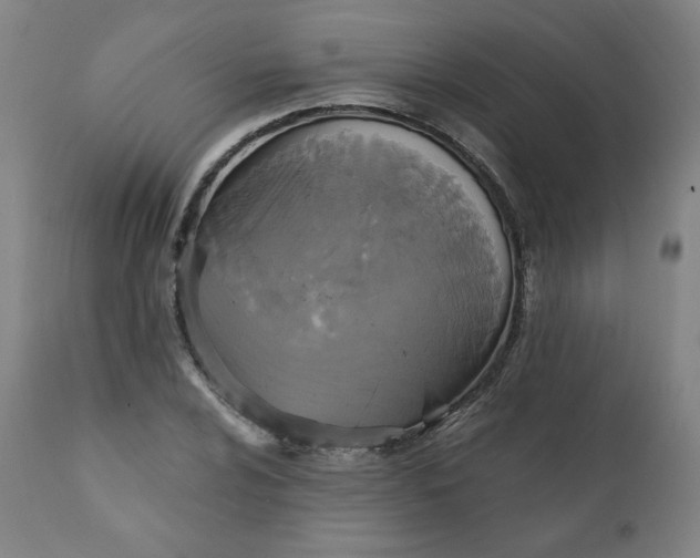 X0000111221024200907161246