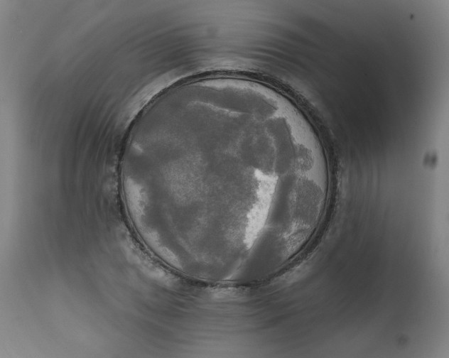X0000111221025200907161246