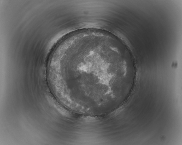 X0000111221027200907161246