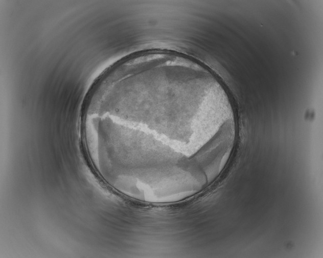 X0000111221028200907161246