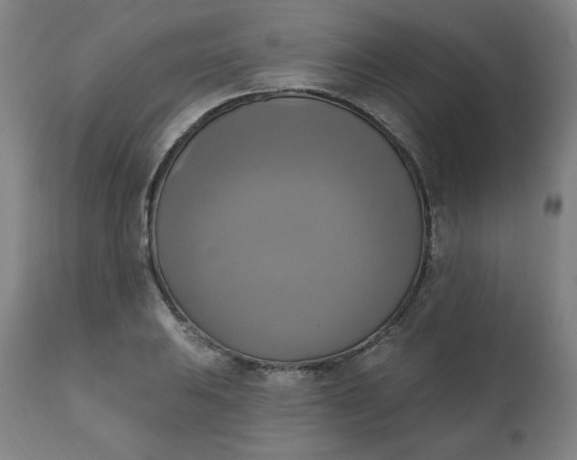 X0000111221031200907161246