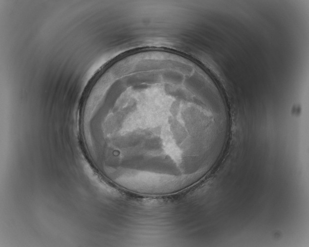 X0000111221032200907161246