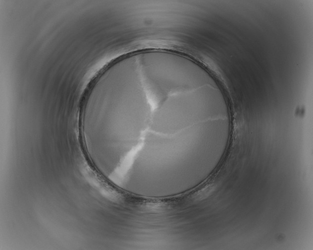 X0000111221035200907161246